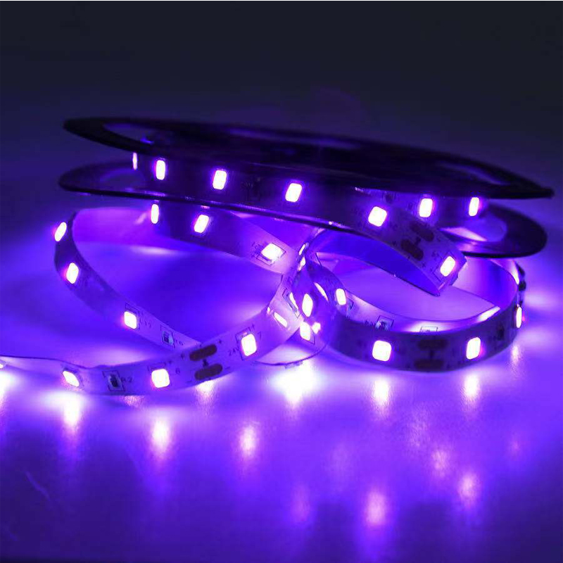 UV LED 紫外線ライト、ブラック UV ランプ、SMD  - Uv Led Lamp Nail のレビューと価格